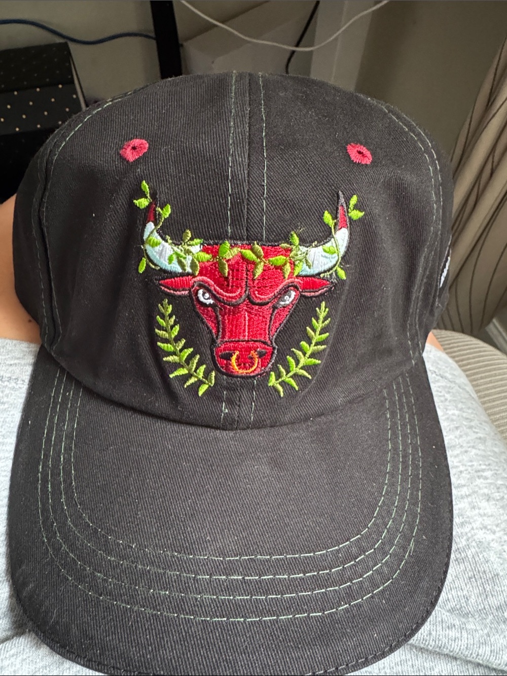 Chicago Bulls Artist Series Hat